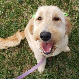 Meet your Posher, Tammy